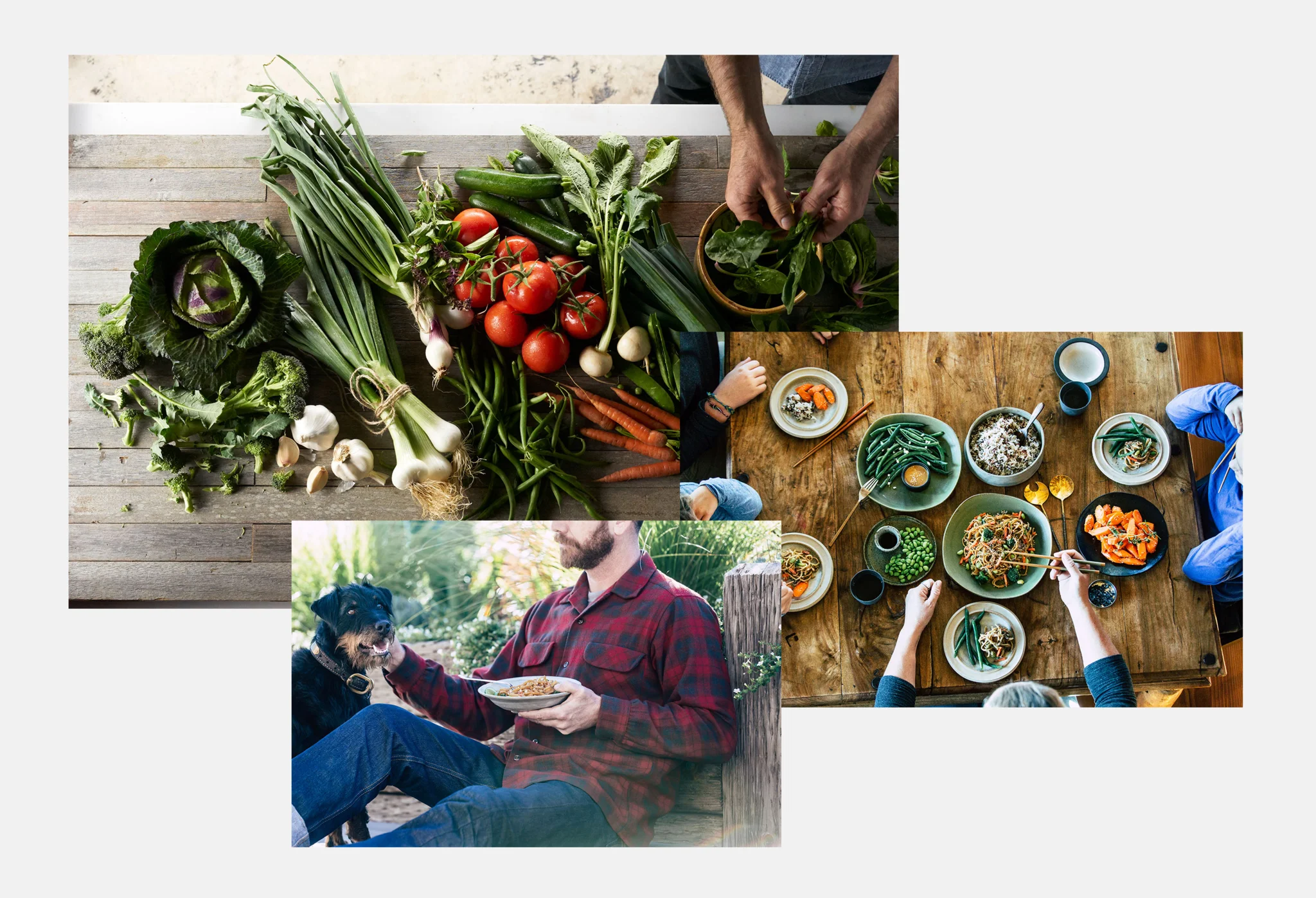 Collage of Amy's Kitchen blog designed by Superrb