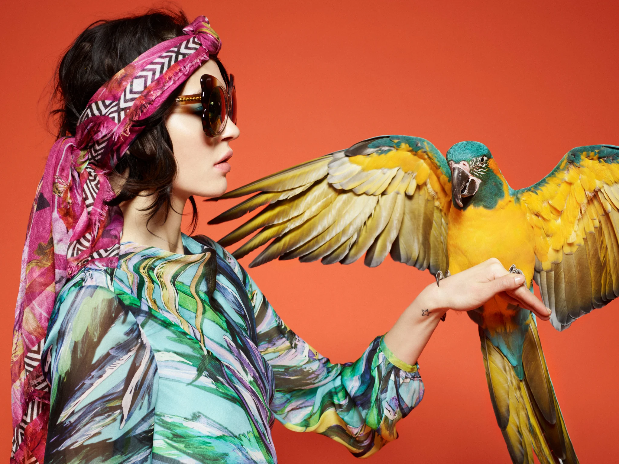 Stunning Rhys Frampton photo of a parrot landing on a stylish woman's hand used for website design