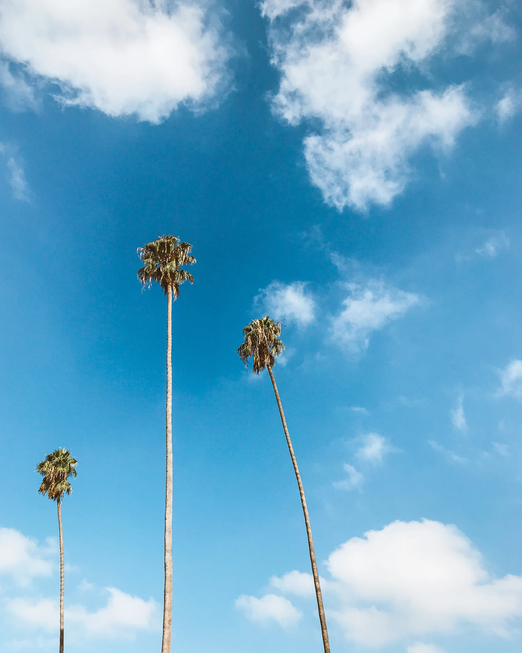 Thumbnail of Californian sky